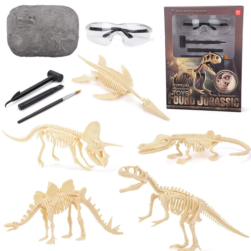 Dinosaurus Fossielen Opgraving - Model Kit Girl recensie en prijs